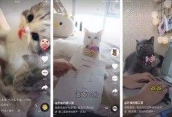 小王抖音爆料事件视频